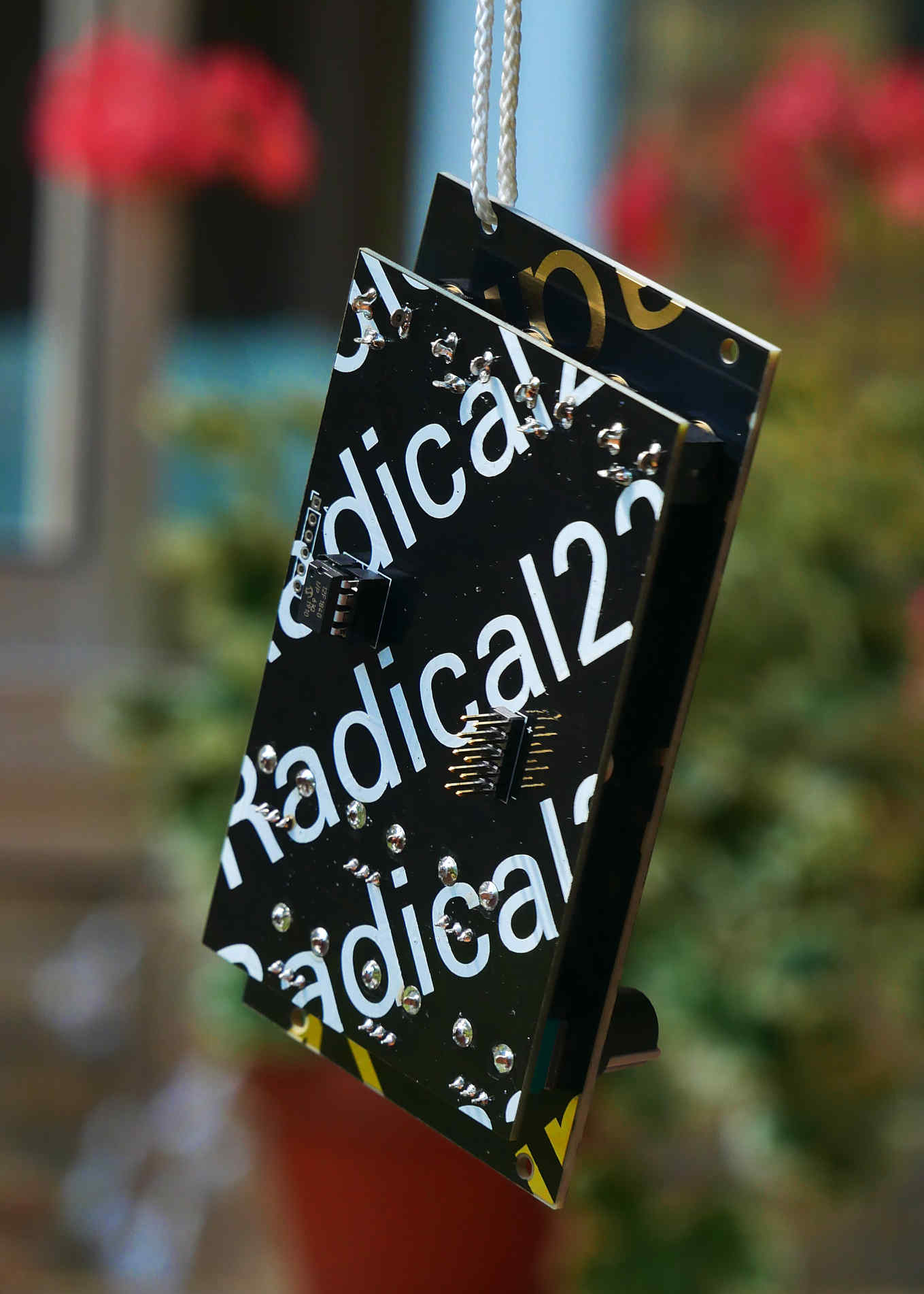 Radical22 back